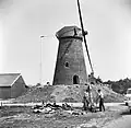Restauratie van de Heimolen in mei 1972