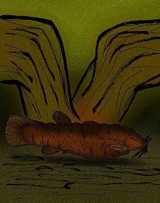 Rhizosomichthys totae