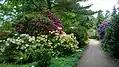 Rododendronpark, Rostrup