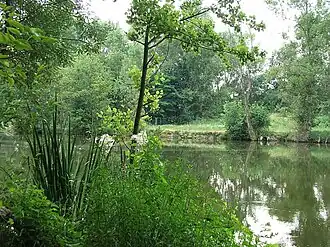 De Hron bij Starý Tekov