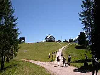 De Rifugio Ciampedie