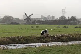 Buurtermolen, draaiend