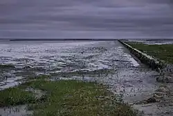 Rijsdam op de kwelder ten noorden van de Negenboerenpolder in de Nederlandse provincie Groningen