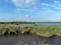 Rijsplas Aalkeetbuitenpolder