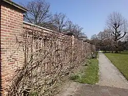 Tuinmuur monumentnummer 515697
