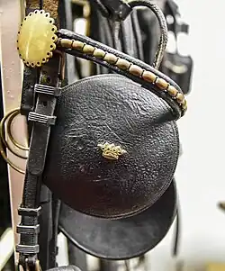 Paardentuig voor een tandem