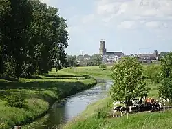 Veebocht aan de Kalflack