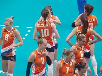 Nederlandse volleybalploeg