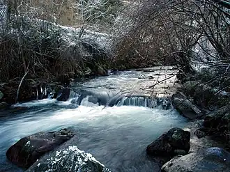 De Río Deva nabij Camaleño.