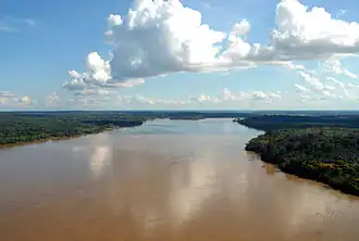 De rivier nabij Porto Velho