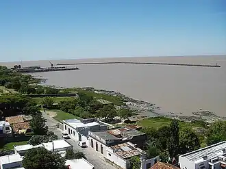 Odontesthes orientalis