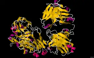Monoklonaal antilichaam Rituximab