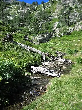 De Riu de Comapedrosa