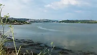 De Plym bij Plymouth, gezien naar het noorden vanaf de westelijke oever