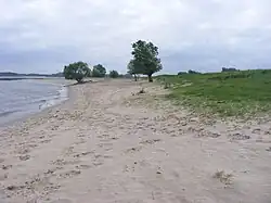 Rivierstrand aan de oever van de Waal