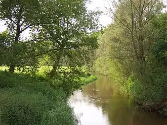 De Dinkel bij Losser (Natura 2000-gebied)