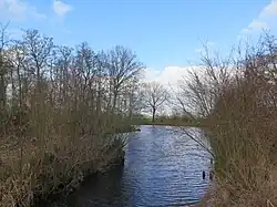 Zuidarm van de Loet in het Loetbos
