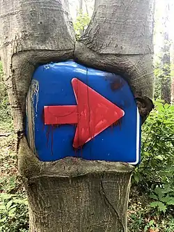 Verkeersbord in een Eik gegroeid