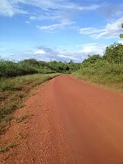 Weg van Maripasoula naar Papaichton