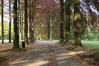 Kreupelboslaan in het Ossegempark