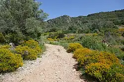 Wandelpad naar het plateau