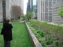 Daktuin Rockefeller Center, Manhattan