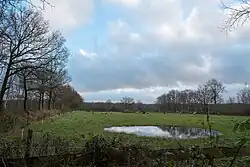 Coulisselandschap ten zuiden van het Sterrebos