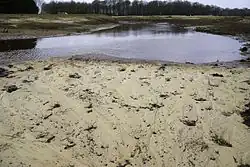 Hermeandering ten zuiden van Roelage (2016)