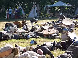 Nagebootste veldslag Rogar (2011)