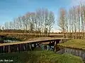 Romeinse brug Tungelroy