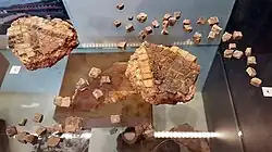 Delen van een mozaïekvloer