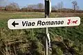 Bewegwijzering Viae Romanae in Zottegem