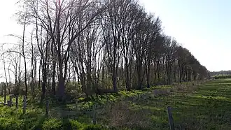 Oostelijke toegang aan de Kloosterstraat