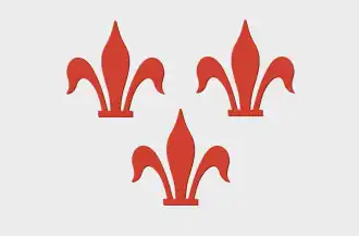 ? Vlag van Rotselaar