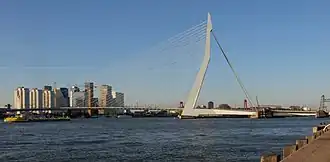 De Erasmusbrug in Rotterdam in 2022