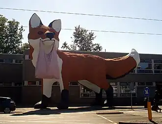 Bospoldervos (augustus 2020)