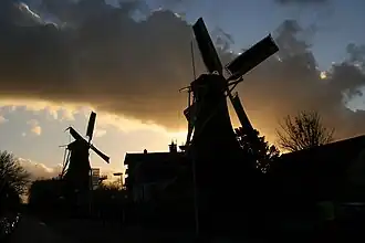 Silhouetten van De Ster en De Lelie