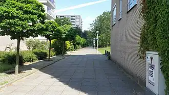 Rotterdamsepad (juli 2019)