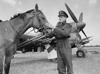 Lallemant met een paard voor zijn Typhoon (juli 1944)
