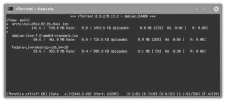 Screenshot van rTorrent.