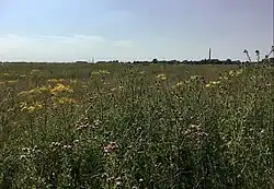 Uitgestrekte ruigten op rivierkomgronden