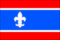 Vlag
