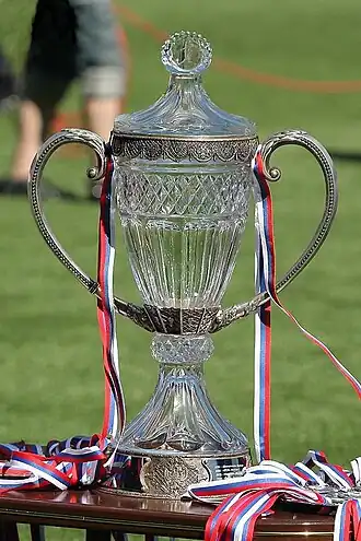 Russische voetbalbeker