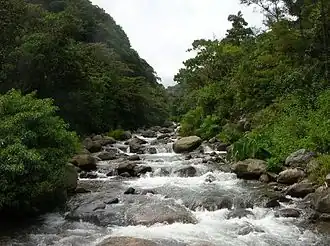 Rio Caldera nabij Boquete