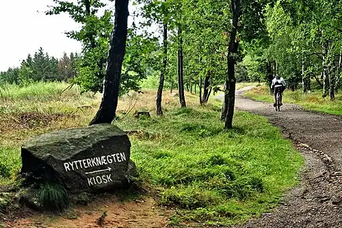 Pad naar Rytterknægten, het hoogste punt op het eiland Bornholm, 162&nbsp;m boven zeeniveau