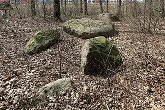 Großsteingrab Püttkesberge