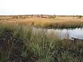 Natuurreservaat Südlohner Moor ten zuidoosten van de stad (1)