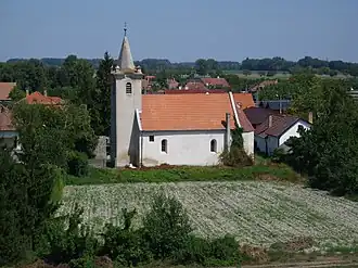 Katholieke kerk