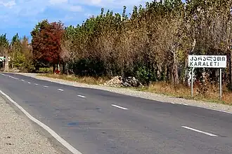 De S10 door Karaleti