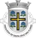 Vlag van Santa Cruz das Flores